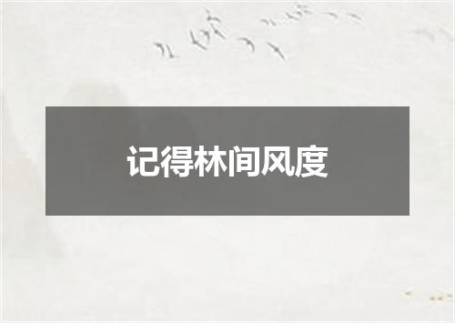 记得林间风度