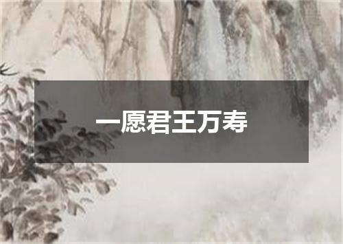 一愿君王万寿