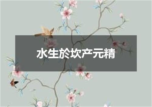 水生於坎产元精