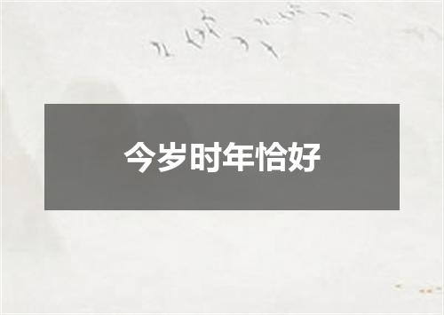 今岁时年恰好