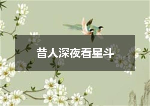 昔人深夜看星斗