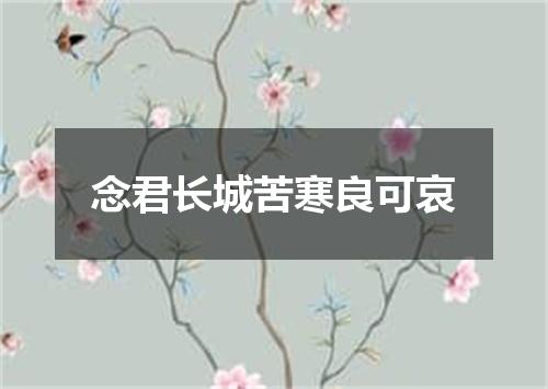 念君长城苦寒良可哀