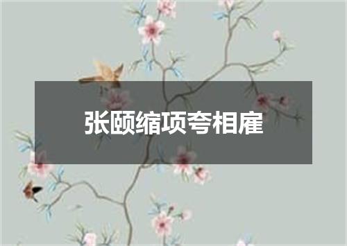 张颐缩项夸相雇