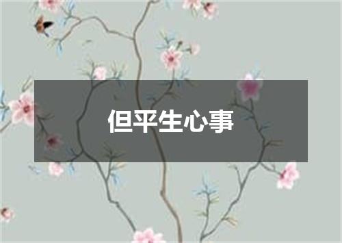 但平生心事