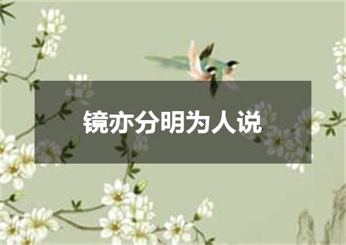 镜亦分明为人说