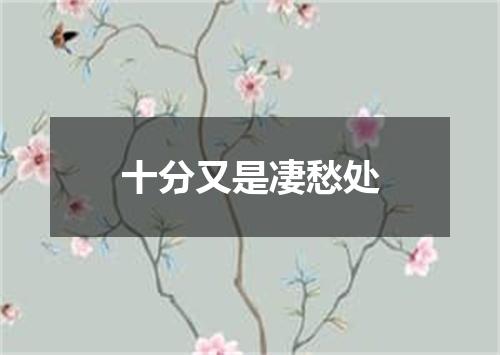 十分又是凄愁处