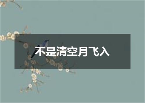 不是清空月飞入