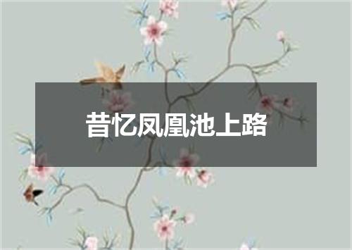 昔忆凤凰池上路
