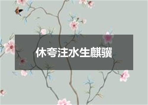 休夸注水生麒骥