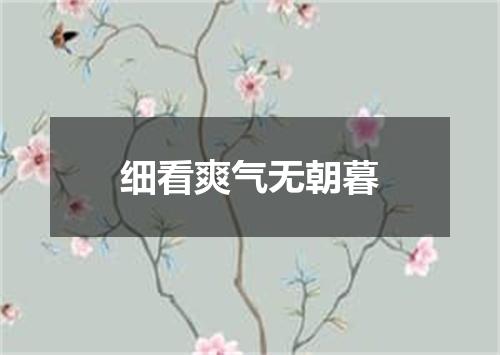 细看爽气无朝暮