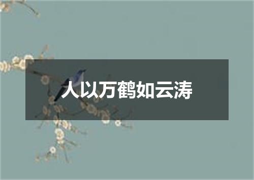 人以万鹤如云涛