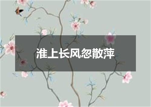 淮上长风忽散萍