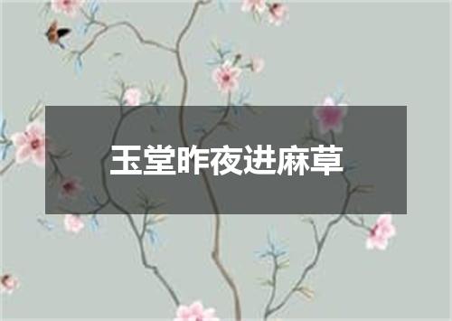 玉堂昨夜进麻草