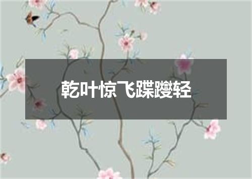 乾叶惊飞蹀躞轻