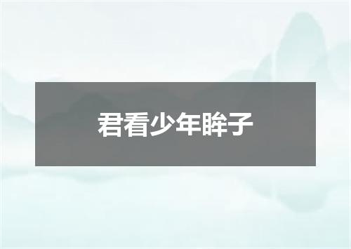 君看少年眸子