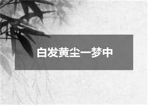 白发黄尘一梦中