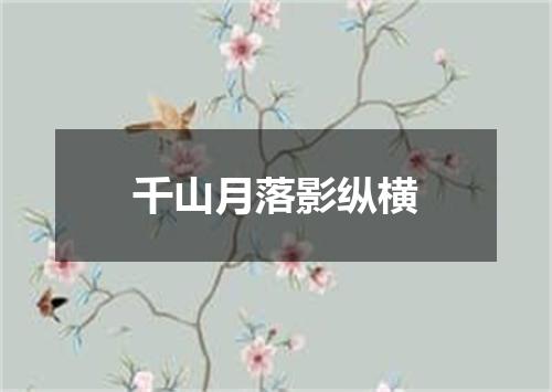 千山月落影纵横