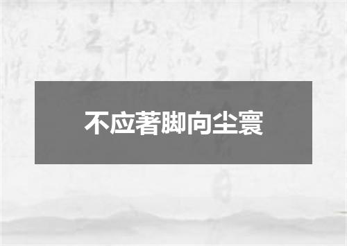不应著脚向尘寰