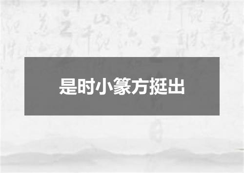 是时小篆方挺出