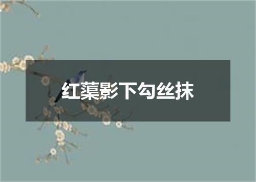 红蕖影下勾丝抹