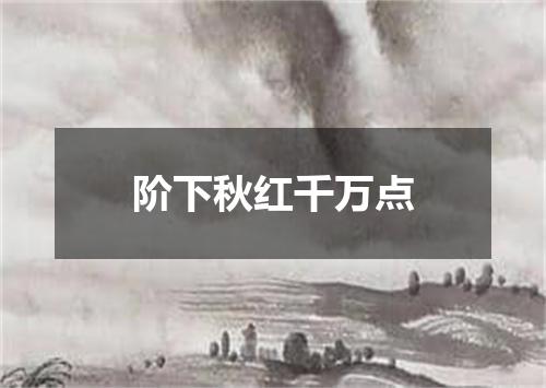 阶下秋红千万点