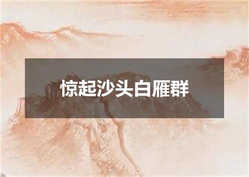 惊起沙头白雁群