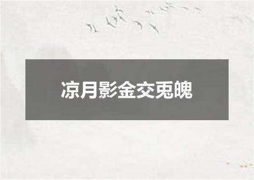 凉月影金交兎魄