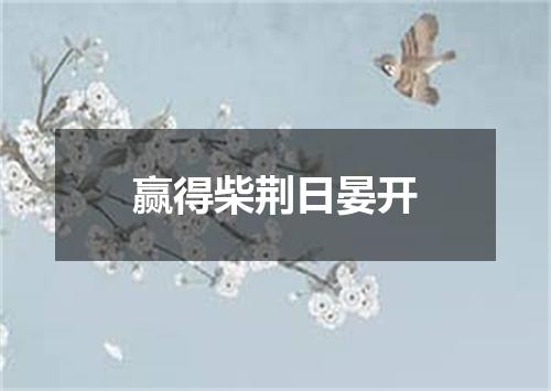 赢得柴荆日晏开
