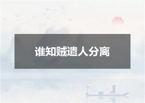 谁知贼遣人分离