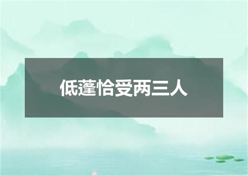 低蓬恰受两三人