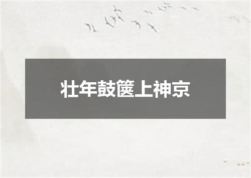 壮年鼓箧上神京
