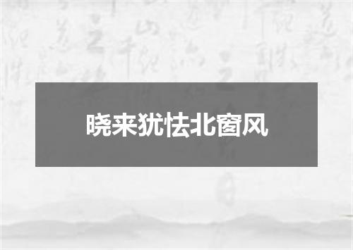 晓来犹怯北窗风