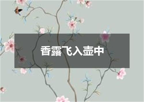 香露飞入壶中