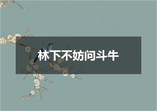 林下不妨问斗牛