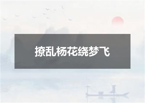 撩乱杨花绕梦飞