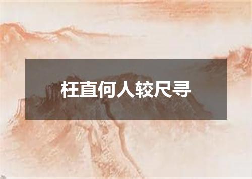 枉直何人较尺寻