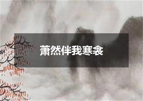 萧然伴我寒衾
