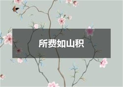 所费如山积