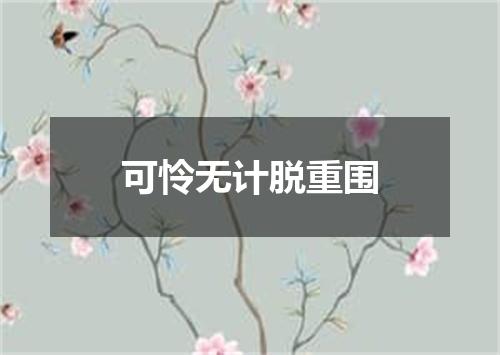 可怜无计脱重围