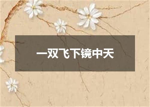 一双飞下镜中天