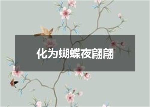 化为蝴蝶夜翩翩