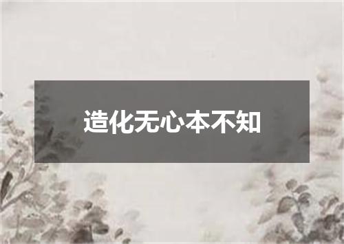 造化无心本不知