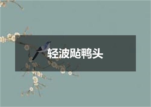 轻波飐鸭头