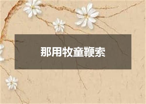 那用牧童鞭索