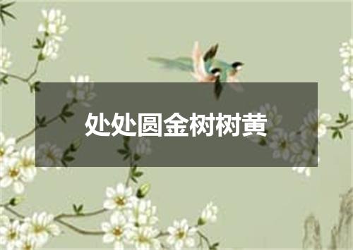 处处圆金树树黄