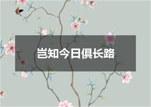 岂知今日俱长路