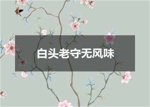 白头老守无风味