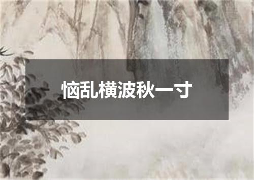 恼乱横波秋一寸