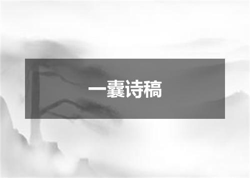 一囊诗稿
