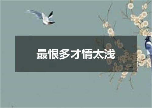最恨多才情太浅
